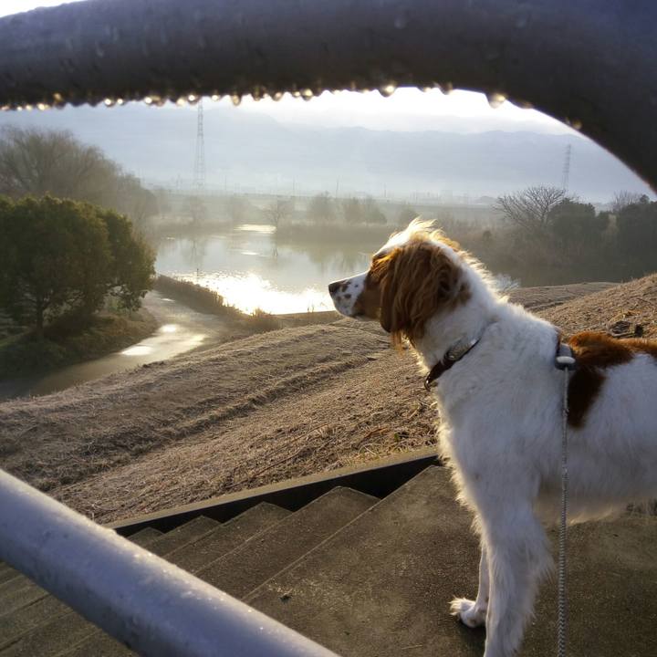 15747586 abda 4a5e a314 a35d4105df3e 1517532040028