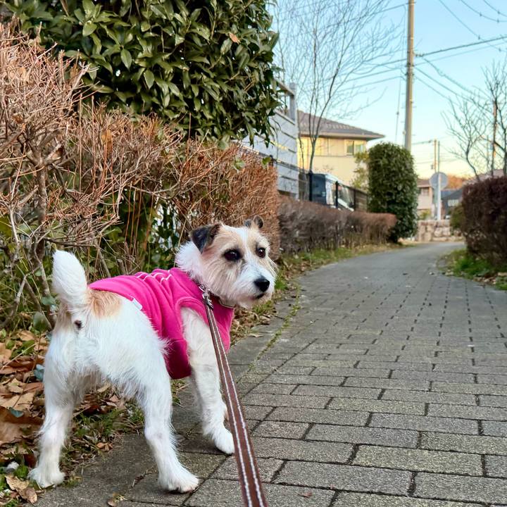 15747d12 2cbb 43aa 863c 469eee4d816f 1771492185374