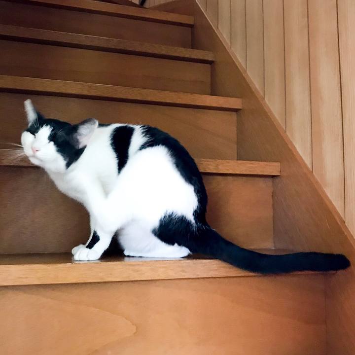 157484ce b472 4f36 b0e8 ed52569437a1 1531748590634