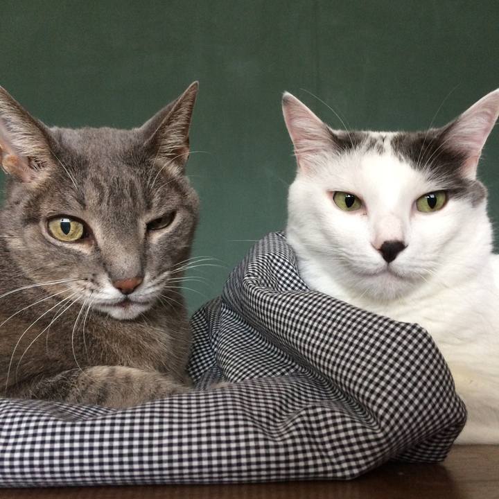 157497a6 f9ed 4508 bbad bdf4bb5a1923 1517321869341