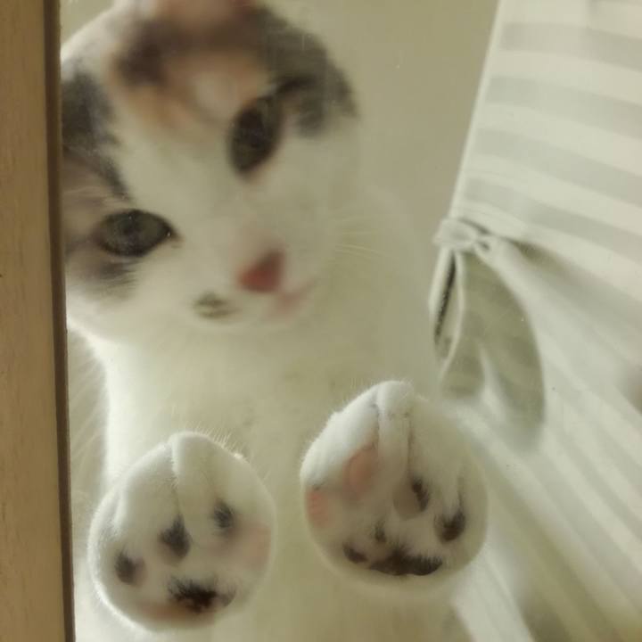 157499c2 bfd7 4997 900c 98c491e4cb1e 1519121085732