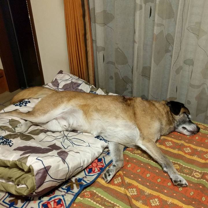 1574a29e 3582 4c94 96e1 cd25ddceb900 1541424114423