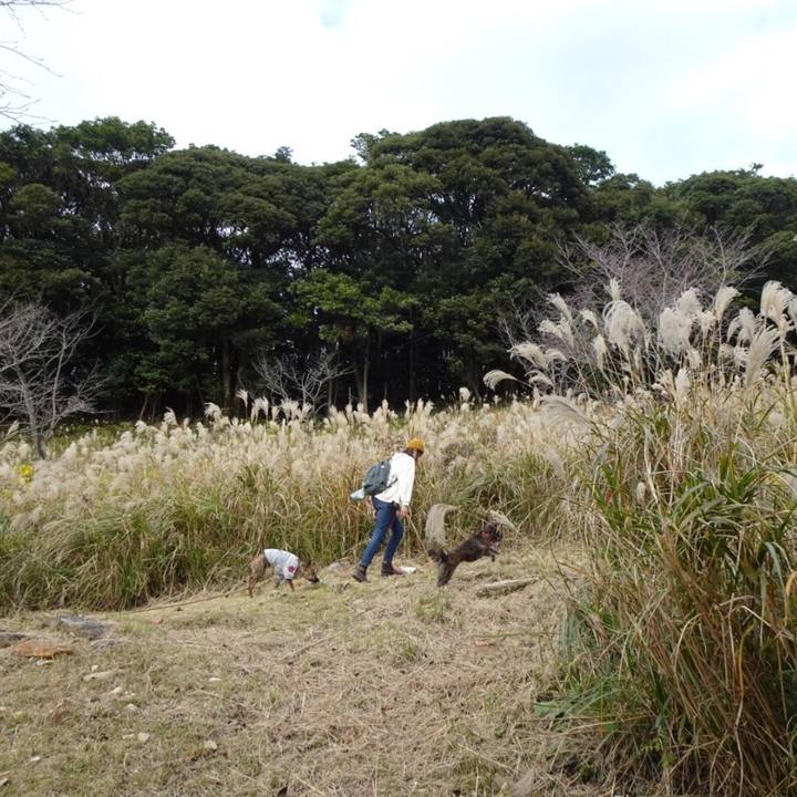 15751029 58d5 4632 b117 4583d9899016 1574949889409