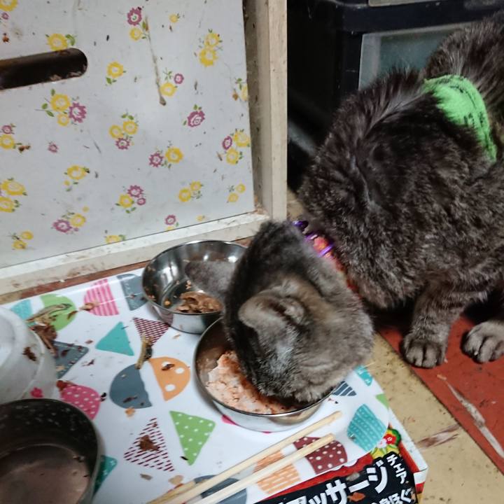 15754e1d 7d95 448f 8d06 894ab19fbb07 1587416916929