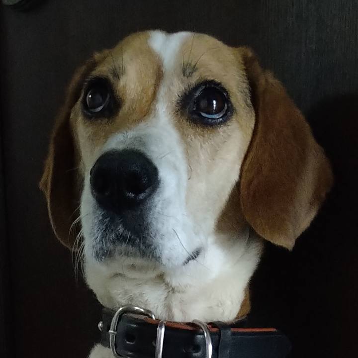 15755c20 2bc7 4a8b a2d8 3b53cb0cc87a 1656567285403