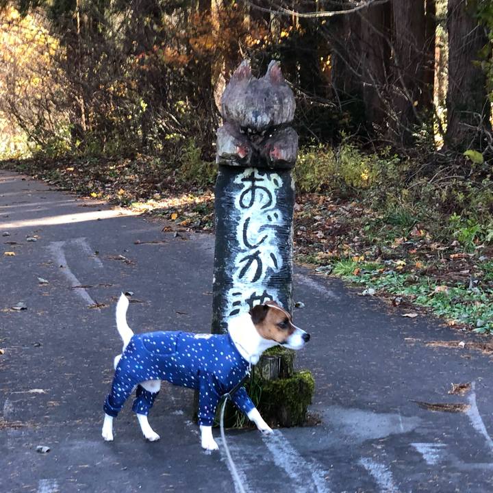 157581cc a82e 408f 8fae 7fe35cb90871 1573623490117