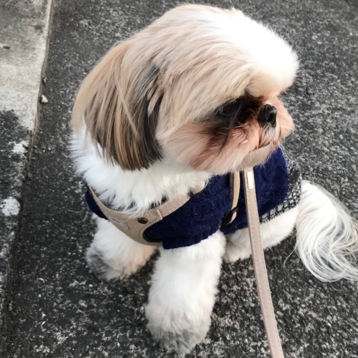 1575982c e496 4b58 a17b 3caebbde3a11 1608694946119