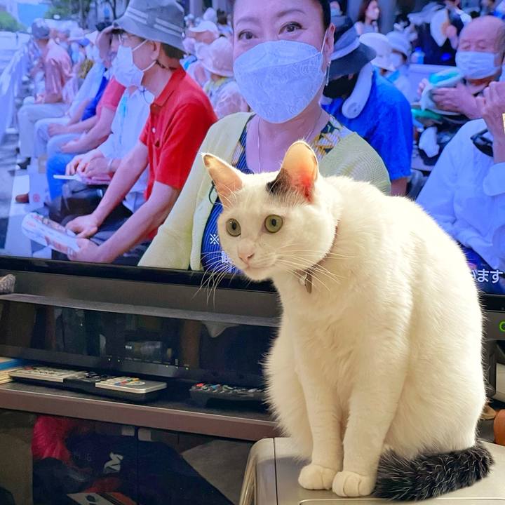 1575eb7d 4a1f 4ffe b8aa e7f397063e62 1708834221242