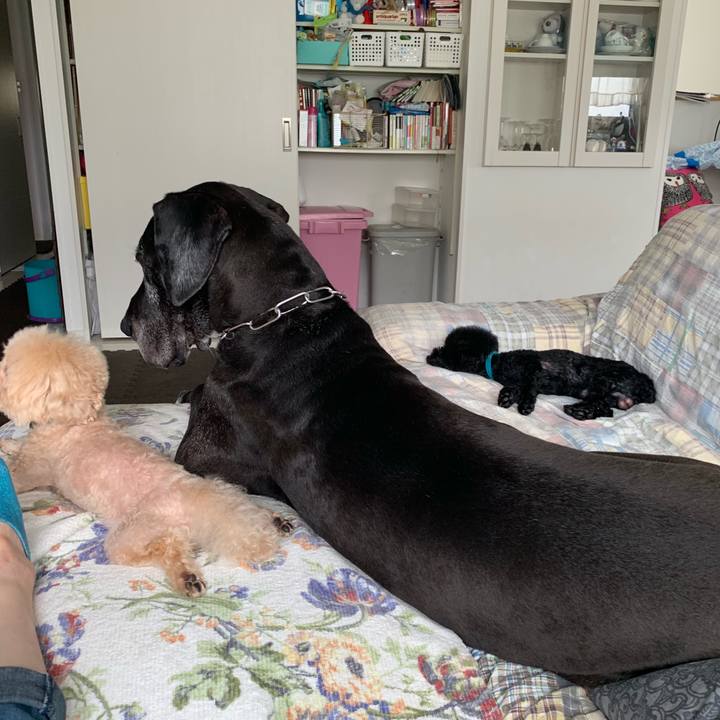 15761a3d 38fe 4e18 bfbf 70eedb99e0e3 1561263374884