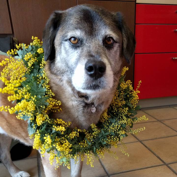 15761c37 c079 4944 9bca 822c53d3422f 1553809384384