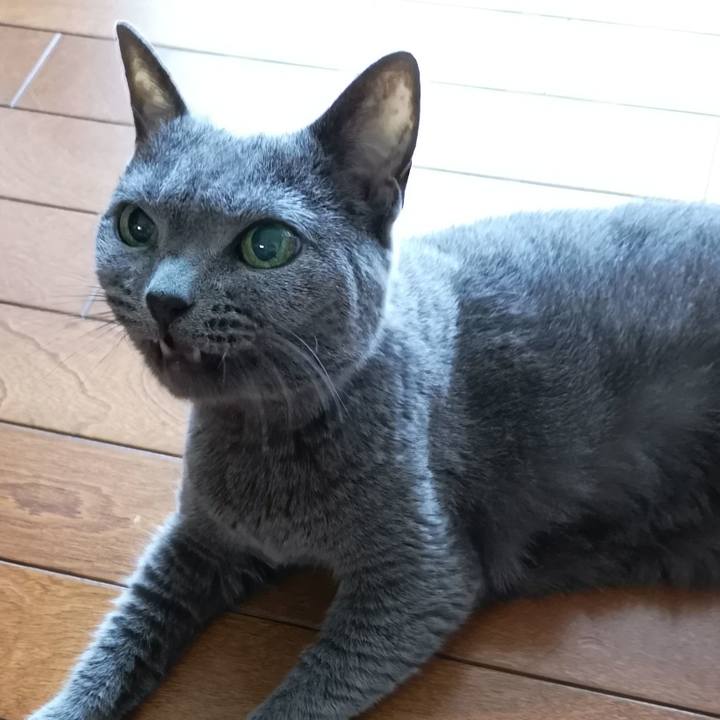 15766434 b3cd 440d 873e 1742fa8873c2 1599342217920