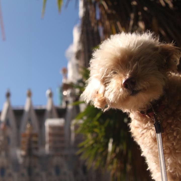 15768554 ddb9 44f6 b7f1 59a61300dc1a 1520352330516