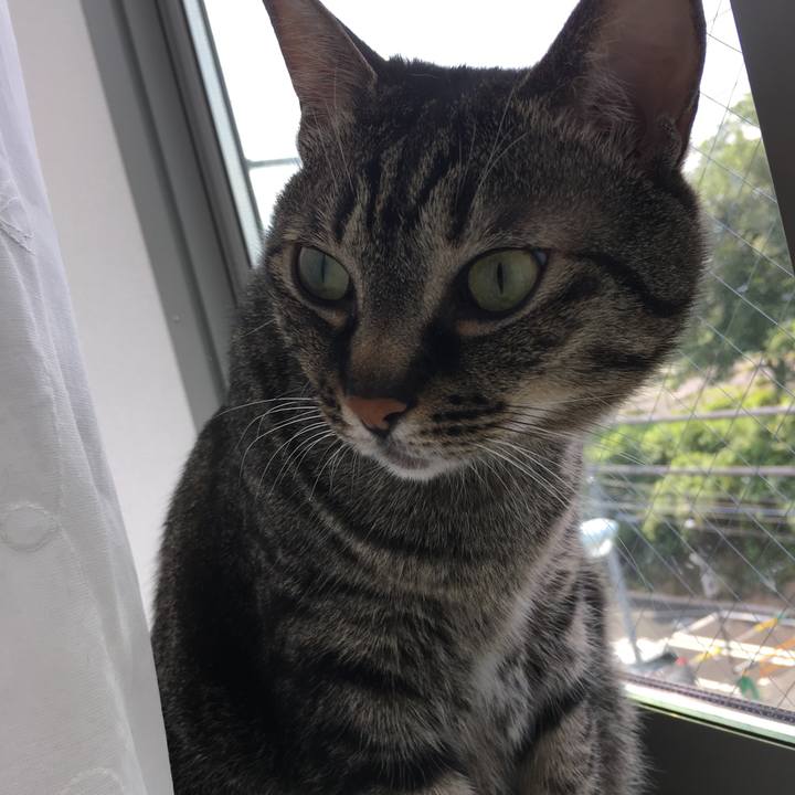 15769070 b06e 4db4 8fdc 7aa8f81fe639 1590565305295