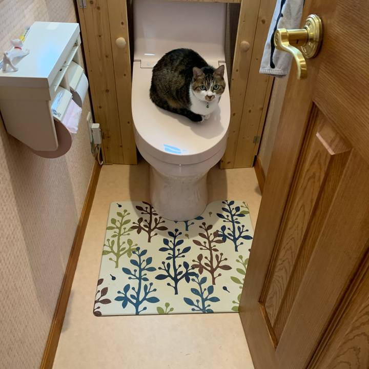 1576a7e8 9c92 4a62 9efc 43ca1beb2be7 1607177362889