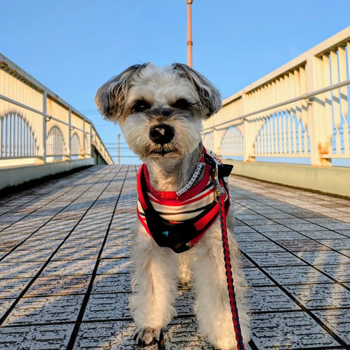 1576baaa 5fe2 47a1 8865 e33b2c004c17 1759617806048