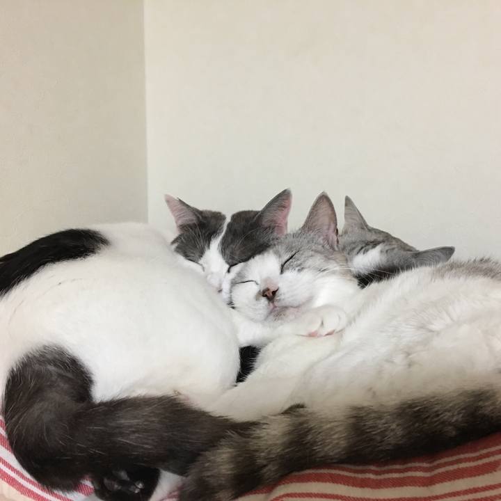 1576d723 b4a3 4287 bd0d 351cc647d540 1548580190803