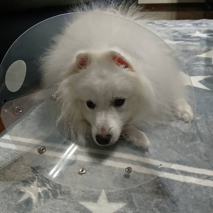 157700a8 d317 4c63 bdab f5ef79259046 1572083461053