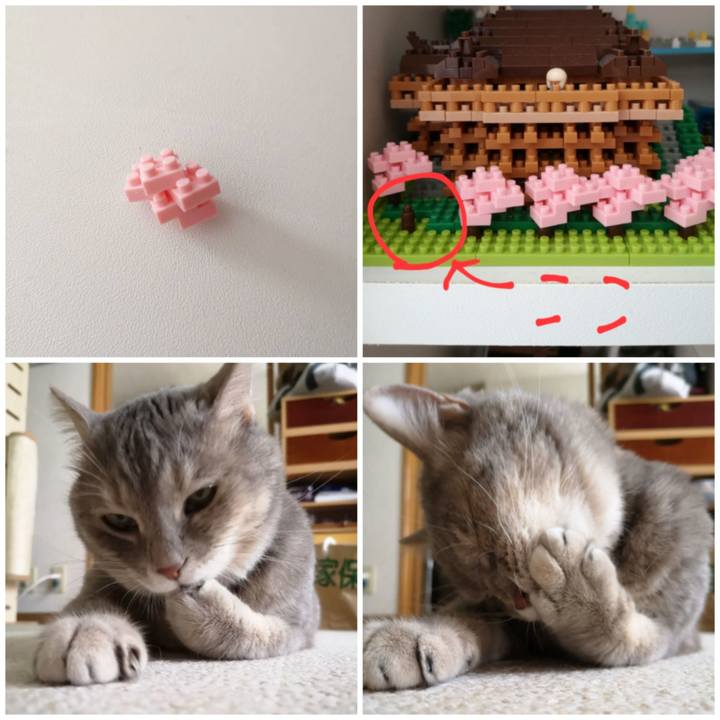 15774348 24ce 4a18 95df 802402e5a2e5 1595773144872