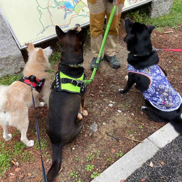 1577525d ee2e 4349 9ce1 fb6d5d47637c 1651456573416