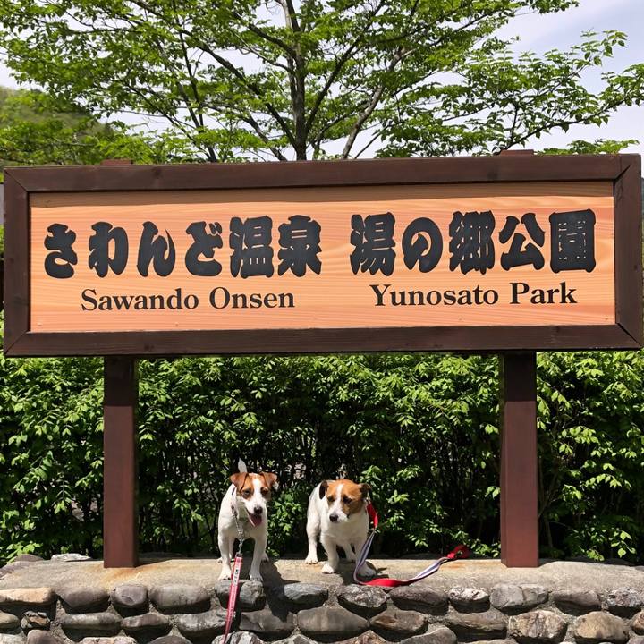 15778eb7 316e 4846 b6eb a01b6d81840f 1525610524070