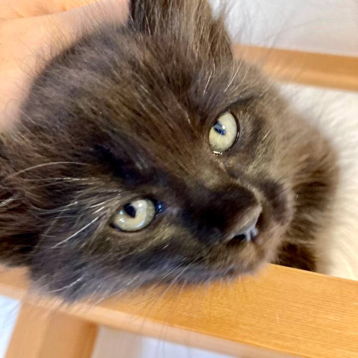 157798bd 70e8 468e bdb1 066d7be8e979 1697972498194