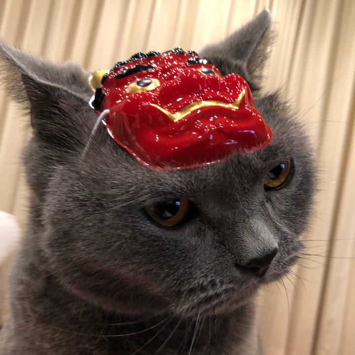 15779af8 981c 4b7f 8e23 8fab34f68128 1517665090426