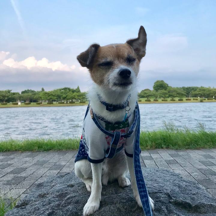 15779d2f d822 4eef a936 c8a56268ebe0 1561117021228