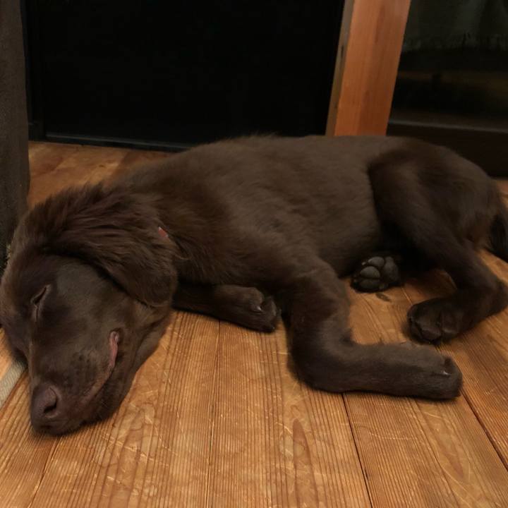 1577c919 a2bf 47a7 b6a9 ae50767047ba 1557608354392