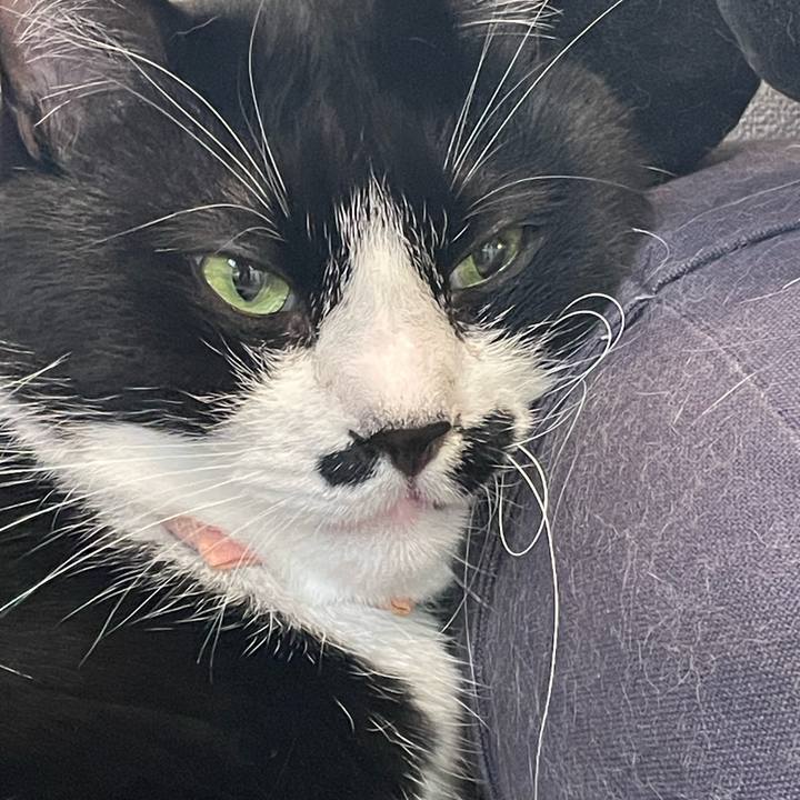 1577da0d 6ca9 4810 af31 cde6213d7de4 1754863748188