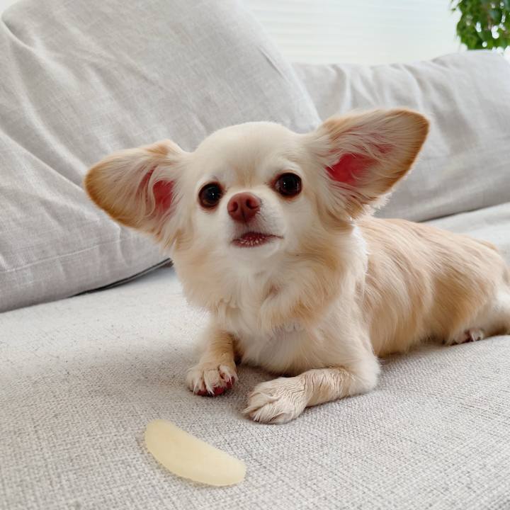 1577dc7c a45e 4419 9e38 cd273ac13dde 1716123201574