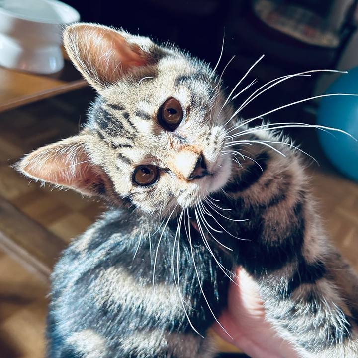 1577f42b d167 45db 952c 8b5065019e23 1728201329800