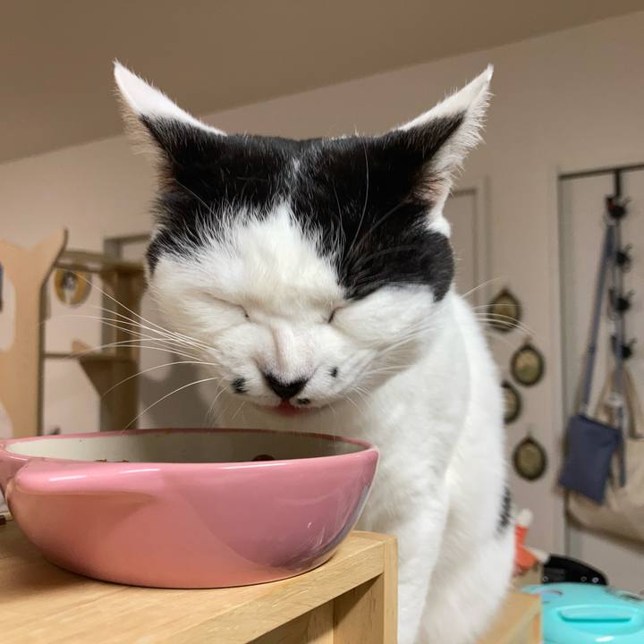 15782fd8 2993 4946 8e33 cc6428b0befa 1767474853834