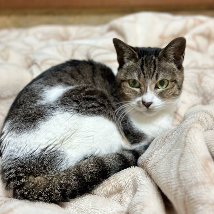 15784e20 9257 4f5f 817c 50b3ad91f039 1681870335535