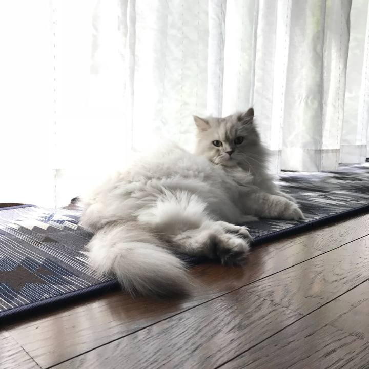 157850e9 3260 416d 8abb a25993e605ab 1528325140176