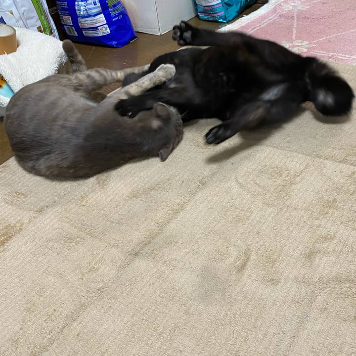 1578700b aea3 4889 8fac 4bc5e6b6808b 1587190390792