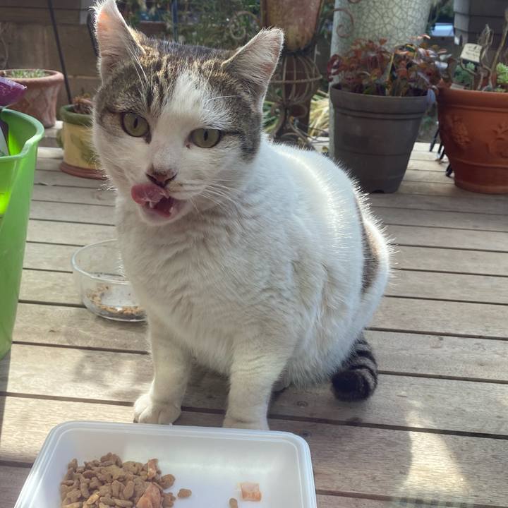 157897e9 9bd6 49e1 a786 797ff5b94a97 1644032809645