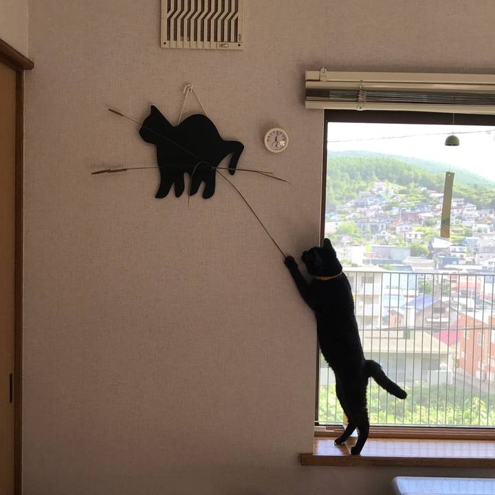 1578991d ed33 4df9 b914 d8227f67a99e 1566106272640