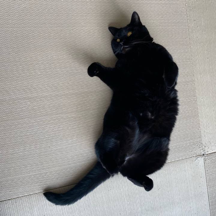 1578e7ca 43bd 4c3d 9ca6 7cff033a7dcc 1741326115960