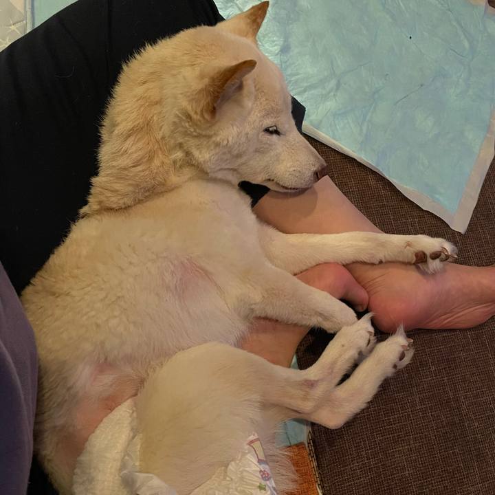 15792778 5eec 46fe ba8f 17cb097c8171 1669388965350