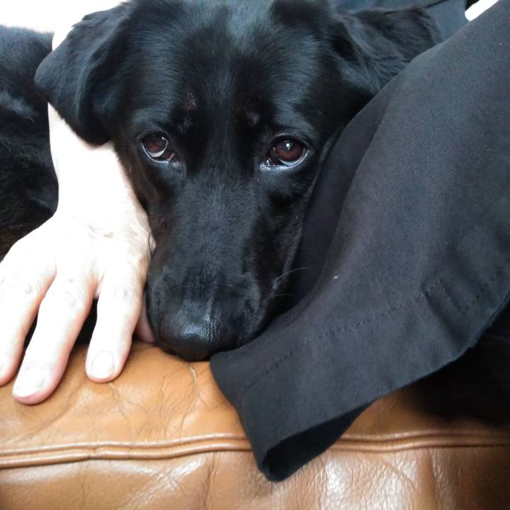 15792d62 0c72 4006 a912 14e5d5eb048f 1561270960959