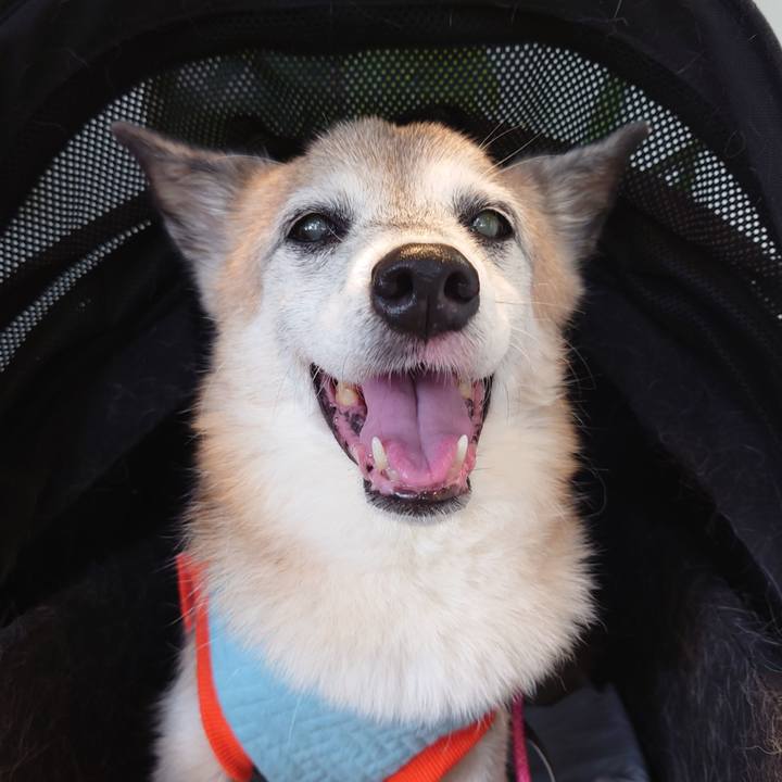 15793e9e 540e 4caa b9be d224811ba390 1762517171643