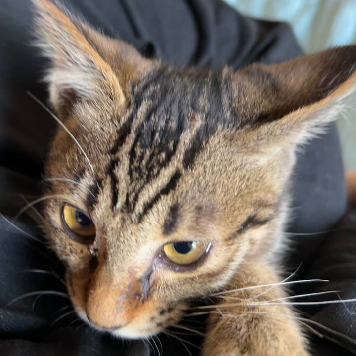 15797fdb 587f 4755 a877 43cb36aebdec 1728688762333