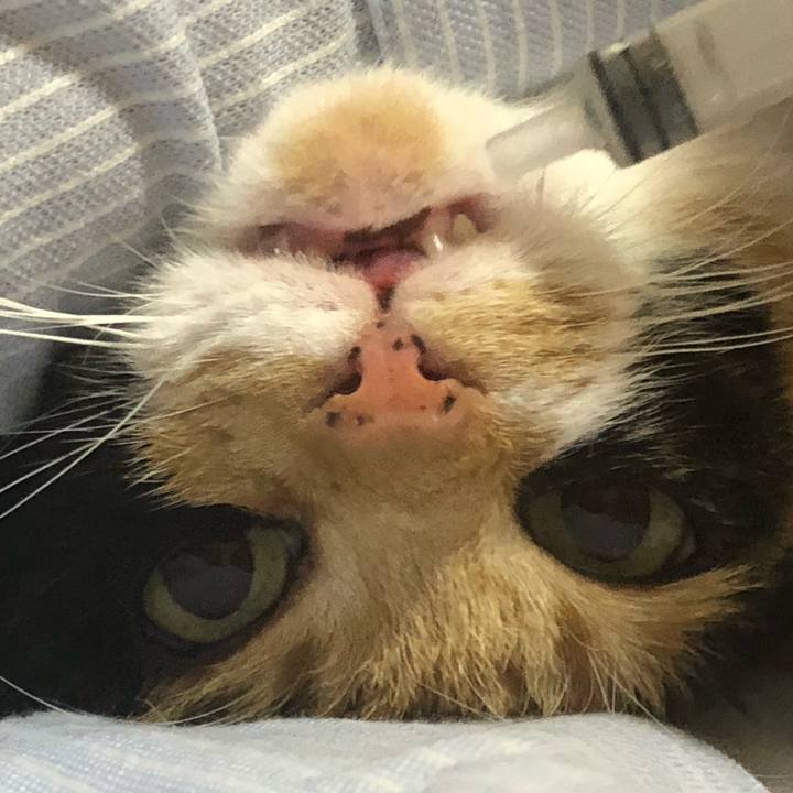 15798a04 5769 4a43 8300 e125df554140 1587771684669