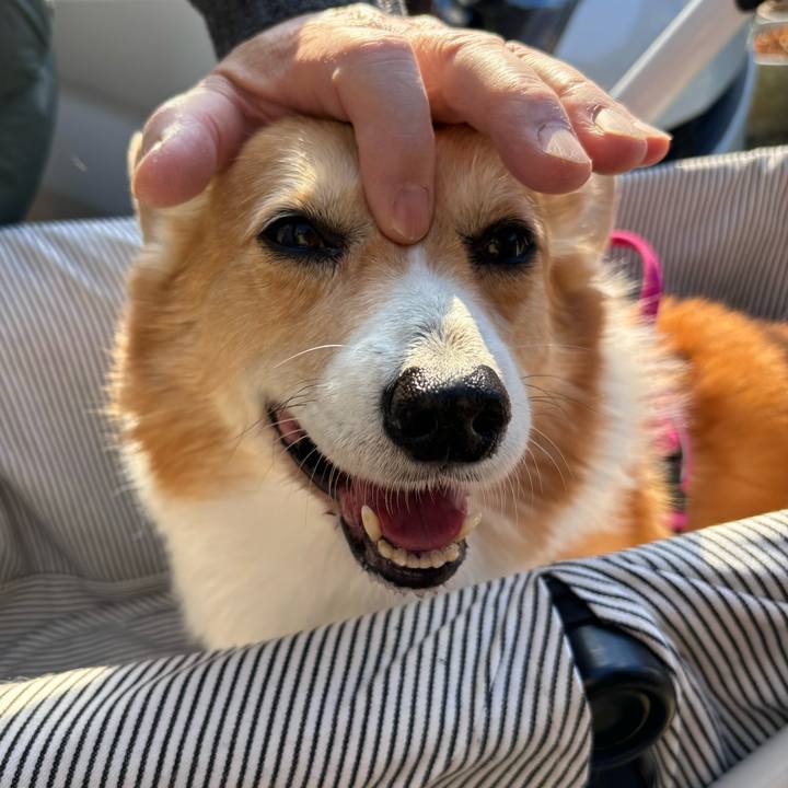 157a4eb9 76d1 48c1 bea9 f104715f1efd 1735786945972