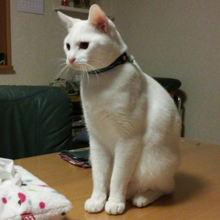 157a6931 f27a 4ea0 9a9d 88e9c4c3b404 1516447597857