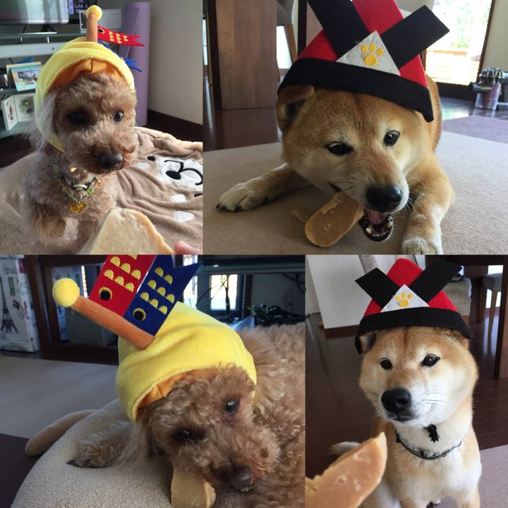 157a80c2 608a 4c25 b484 f80194f0632e 1525496633435