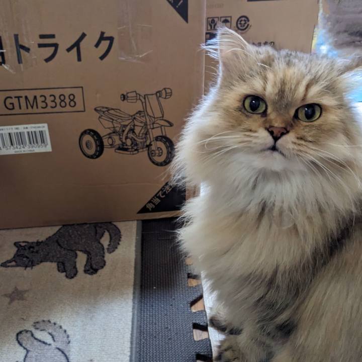 157a8ddf 43db 4c21 97aa 98b716b007bd 1697942029861