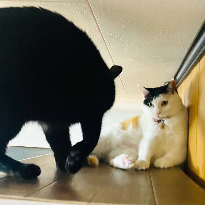 157b09ed 0838 4c45 b78d 956ad178ae33 1748256610769