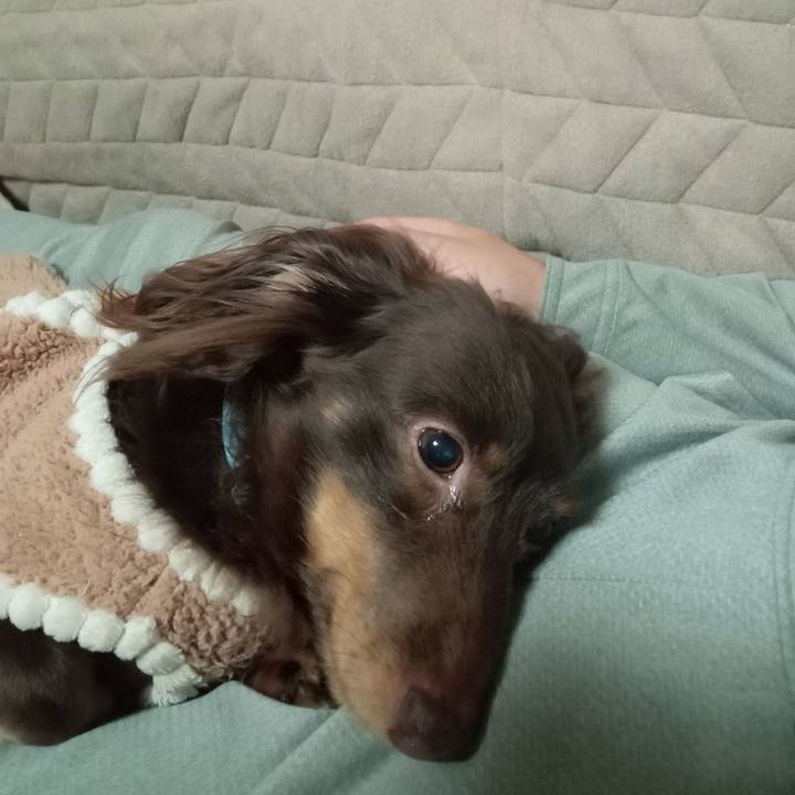 157b22e0 a5d2 4b7d b199 3ba11ec73a67 1766008539234