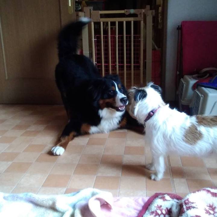 157b28c0 dae5 4cbe 975c baf7888c596b 1549974910235